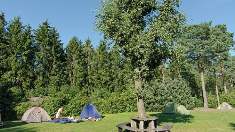Campingplatz Auf Dem Simpel-vakantie-vergelijken