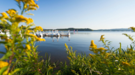 Campingplatz Bostalsee-vakantie-vergelijken