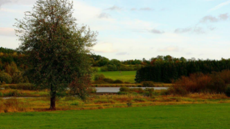 Campingplatz Jungferweiher-vakantie-vergelijken