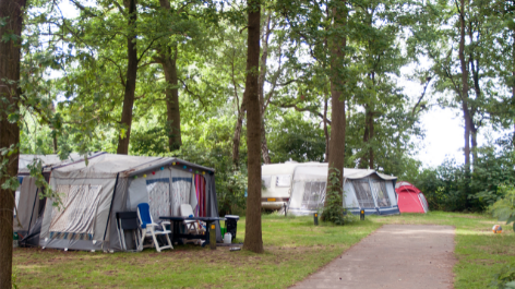 Chr. Vakantiepark En Conferentiecentrum De Betteld-vakantie-vergelijken