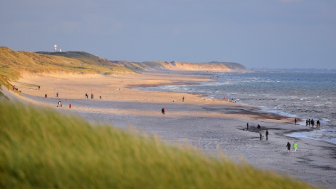 Dancamps Holmsland-vakantie-vergelijken