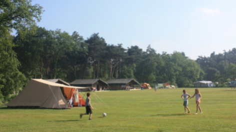 De Lemeler Esch Natuurcamping-vakantie-vergelijken