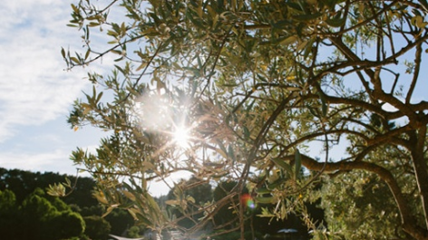 Domaine Naturiste De Bélézy-vakantie-vergelijken