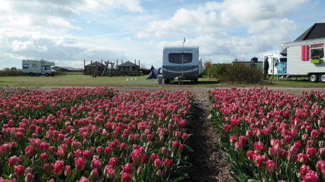 Duinzoomhoeve-vakantie-vergelijken