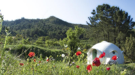 Eco Dome Camping Otro Mundo-vakantie-vergelijken