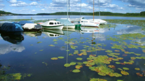 Fkk Ferienidyll Am Rätzsee-vakantie-vergelijken