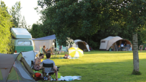 Groene Camping In De Polder-vakantie-vergelijken
