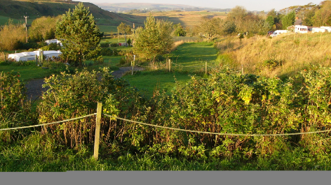 Hadrian's Wall Camping And Caravan Site-vakantie-vergelijken