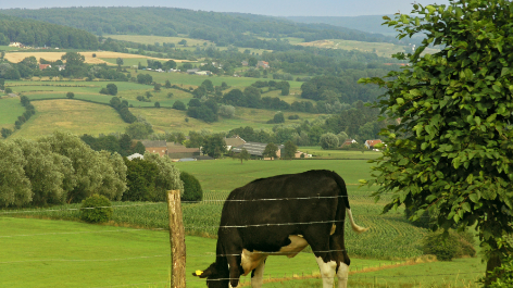 Kampeerterrein Oosterberg-vakantie-vergelijken