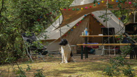 Landgoedcamping Het Meuleman-vakantie-vergelijken