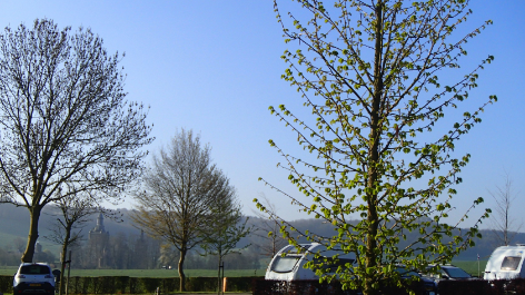 Landschapscamping Alleleijn-vakantie-vergelijken