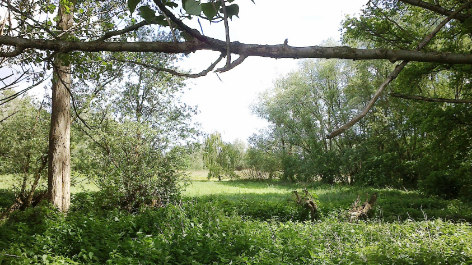 Landschapscamping De Graspol-vakantie-vergelijken