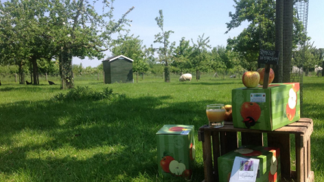 Landschapscamping Kruytenburg-vakantie-vergelijken