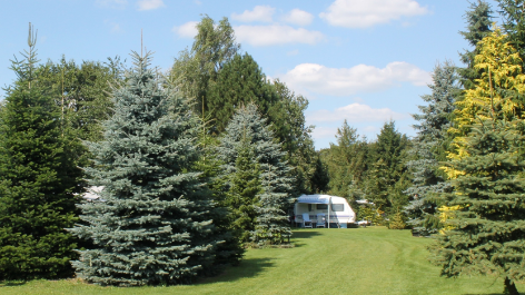 Landschapscamping Sparrenhof-vakantie-vergelijken