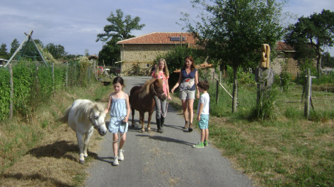 Mini Camping Le Douvet-vakantie-vergelijken