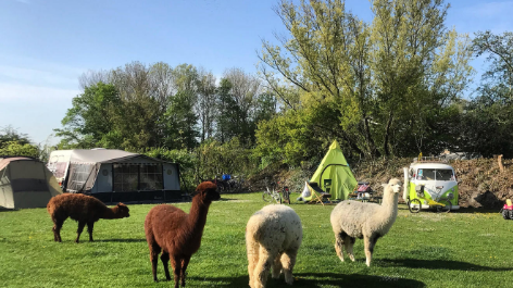 Minicamping Aan De Waterspiegel-vakantie-vergelijken