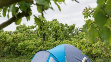 Minicamping De Kampeertuin-vakantie-vergelijken