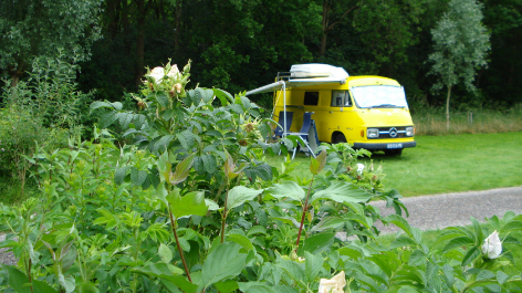 Minicamping Noorderzon-vakantie-vergelijken