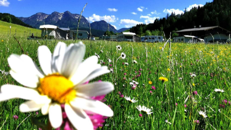 Naturcamping Maurerhäusl-vakantie-vergelijken