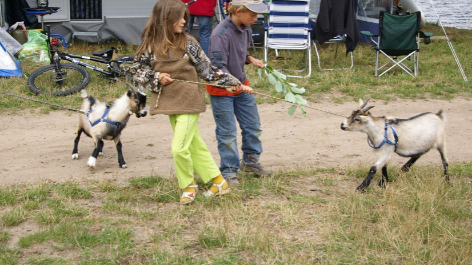 Naturcampingplatz Zum Hexenwäldchen-vakantie-vergelijken