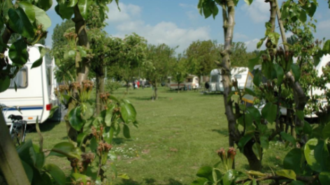 Natuurkampeerterrein De Karekiet-vakantie-vergelijken