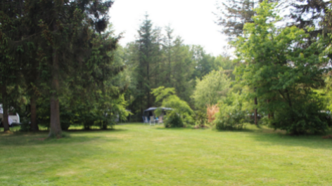 Natuurkampeerterrein Het Rhanerveld-vakantie-vergelijken