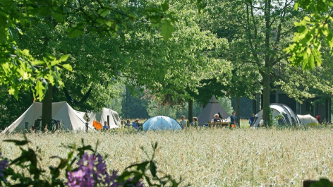 Natuurkampeerterrein Landgoed De Hoevens-vakantie-vergelijken