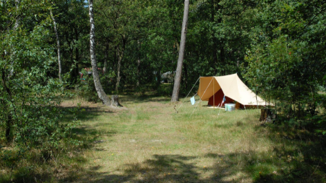 Natuurkampeerterrein Landgoed Vilsteren-vakantie-vergelijken