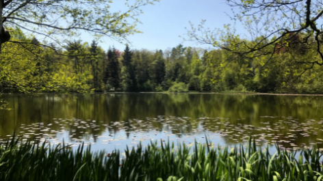 Natuurkampeerterrein Mariahoeve-vakantie-vergelijken