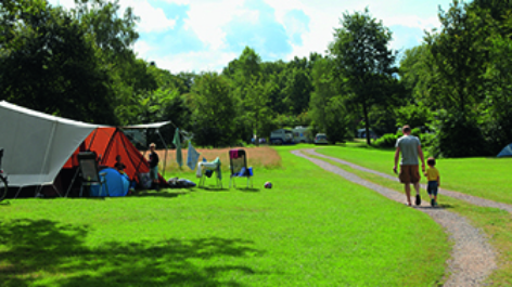 Natuurkampeerterrein Olde Kottink-vakantie-vergelijken