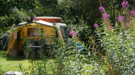 Natuurkampeerterrein 't Scharvelt-vakantie-vergelijken