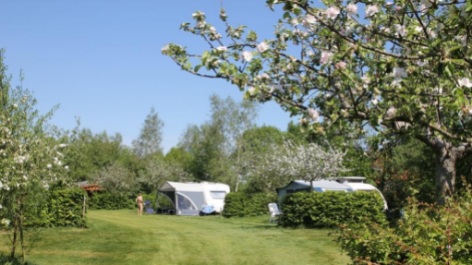 Natuurkampeerterrein Thyencamp-vakantie-vergelijken