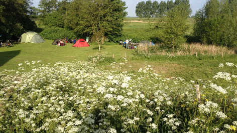 Natuurkampeerterrein Tiengemeten-vakantie-vergelijken