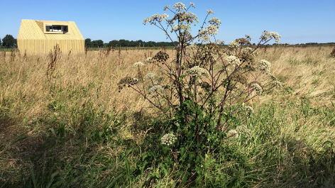 Natuurkampeerterrein Voscheheugte-vakantie-vergelijken