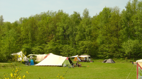 Natuurkampeerterrein Wega-vakantie-vergelijken