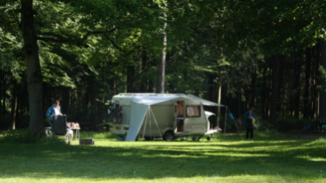 Natuurkampeerterrein Zegenoord-vakantie-vergelijken