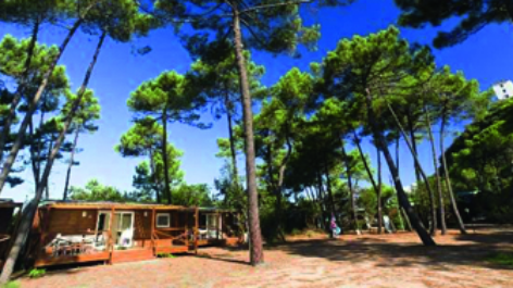 Puntala Camp & Resort-vakantie-vergelijken