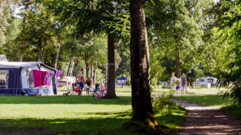 Rcn Vakantiepark Het Grote Bos-vakantie-vergelijken