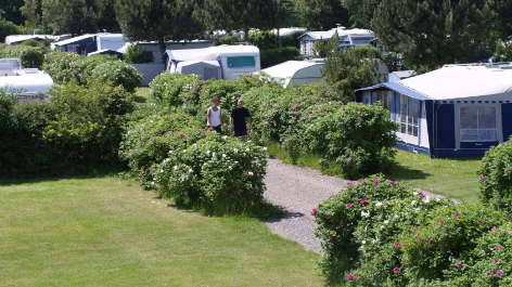 Rødvig Camping-vakantie-vergelijken