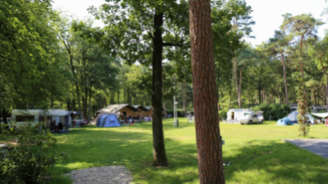 Vakantiepark Bonte Vlucht-vakantie-vergelijken