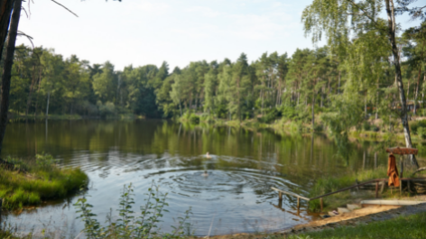 Waldcamping Olympiasee-vakantie-vergelijken