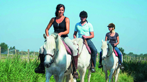 Yelloh! Village La Petite Camargue-vakantie-vergelijken